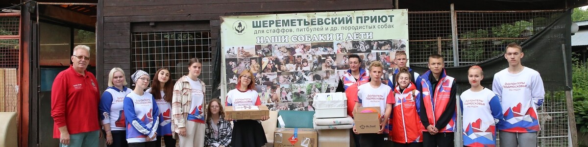Волонтёры и общественник поддержали приют для бездомных животных в Химках