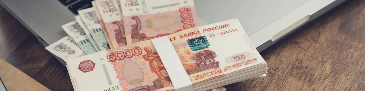 Полицейские в Химках пресекли мошенничество на полмиллиона рублей