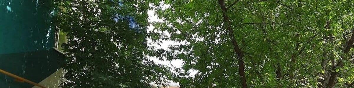Депутат проконтролировал кронирование деревьев в Старых Химках