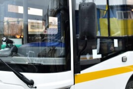 Химкинский автобусный маршрут стал самым популярным в Подмосковье