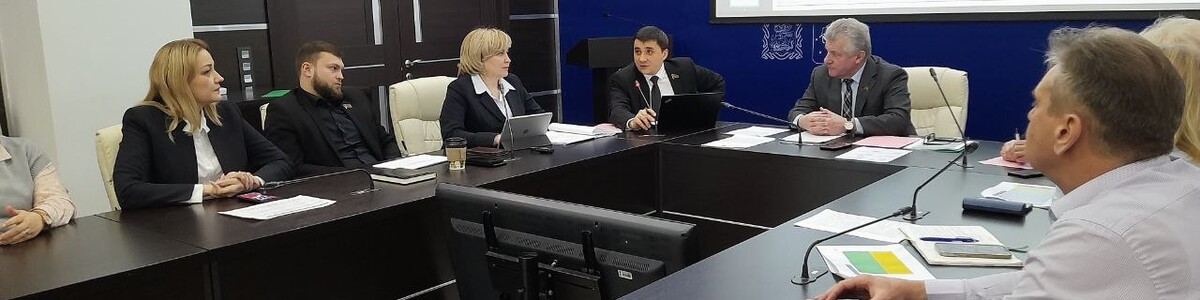 В Совете депутатов Химок состоялась Комиссия по вопросам образования, культуры, спорта, социальной п