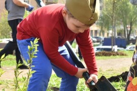 Акция «Лес Победы» пройдет в Химках 30 апреля