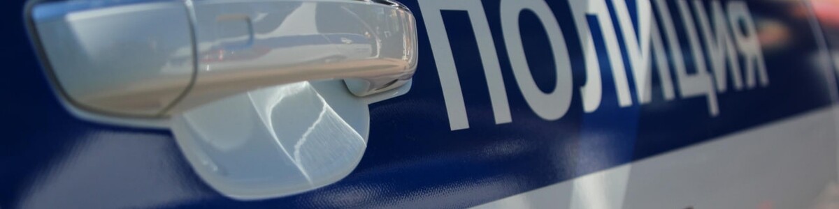 Полицейские в Химках задержали подозреваемого в краже игрушечных машин на более чем 700 тысяч рублей