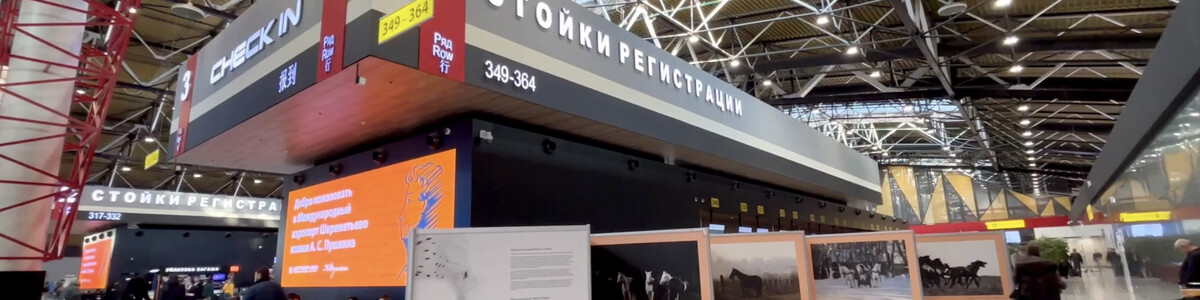 В химкинском аэропорту Шереметьево открыли выставку уникальных портретов лошадей